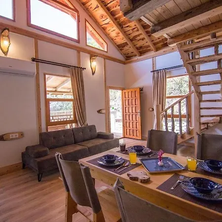 Villa Likya *